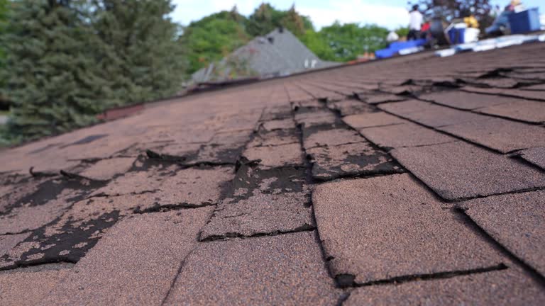 Best Roof Leak Repair  in Chillicothe, MO